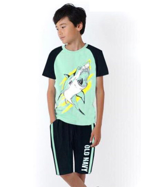 Bộ thun cotton bé trai in cá mập size đại. size 6-7 đến 16-18, bé 25-55kg, vải thun cotton hàng xuất, mềm mại, co dãn, thấm hút mồ hôi, form rộng thoải mái cho bé trai lớn, hình in cá mập cá tính, Việt Nam